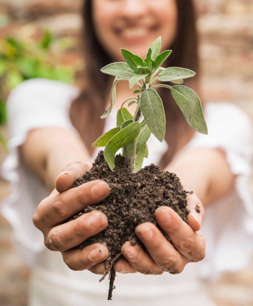 Cabinet de recrutement Rennes-Accompagnement manager-Bilan de compétences 